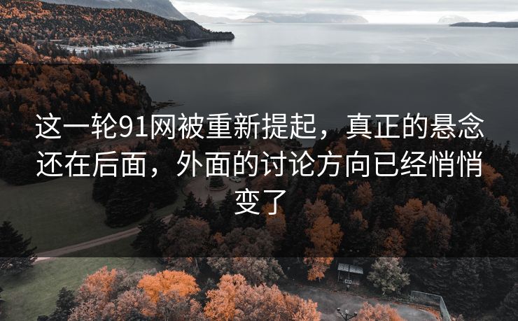 这一轮91网被重新提起，真正的悬念还在后面，外面的讨论方向已经悄悄变了